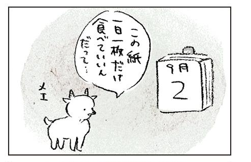 どうぶつ小百科の3,4話が掲載されました！
日常にあるものをテーマにした、動物たちの四コマだよ。
どうぞよろしくね。
http://t.co/gMYmCeyZqd
 