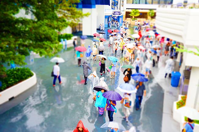 Twitter 上的 東京ディズニーリゾートpr 公式 雨の日の東京ディズニーランド 色とりどりの傘で お花が咲いているようですね Http T Co Xofkdceoa0 Twitter