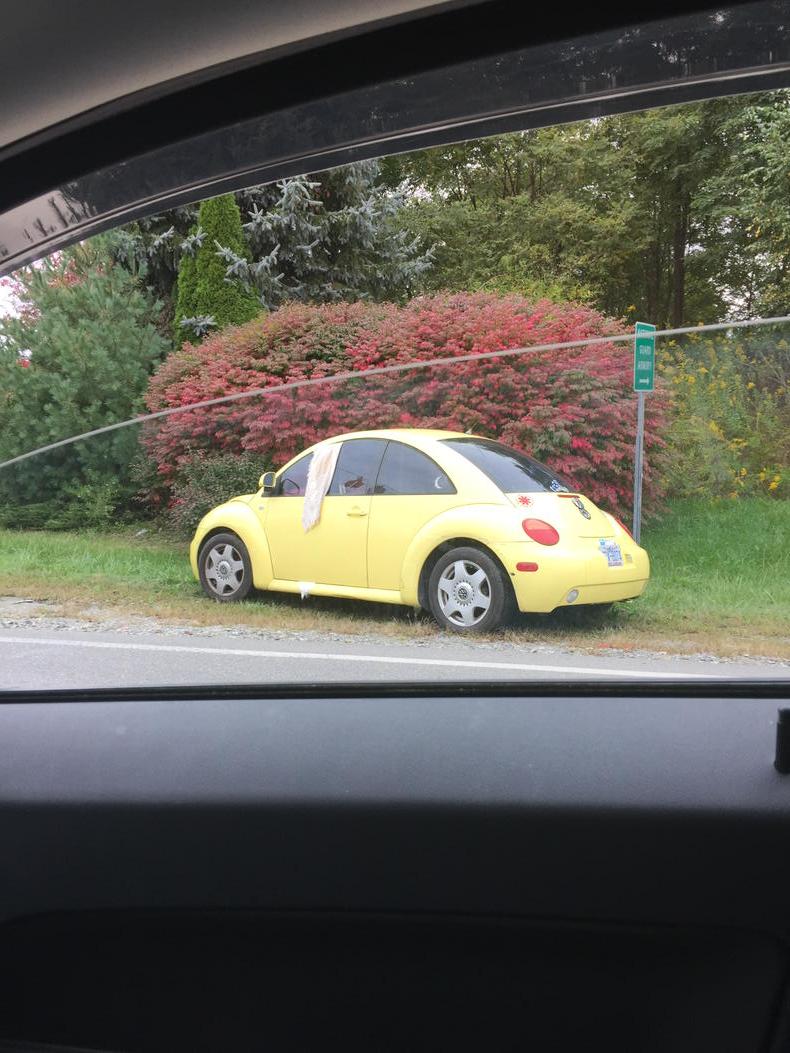 Collin_Crabtree's tweet photo. Yellow Beetle? Check. Pink interior? Check. Scarf in window? Check. Literally the most white girl way to break down. http://t.co/y44yMicoAA