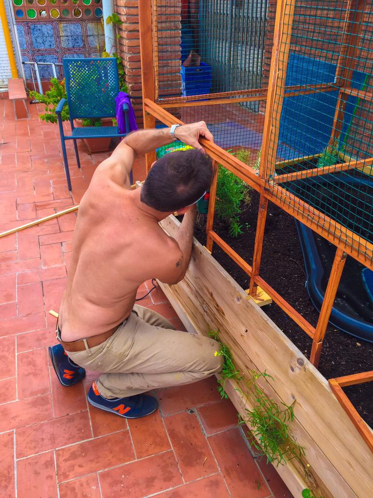 oscargarcescoma's tweet photo. #bricolaje #hucha #friend #birds #woodworking http://t.co/yyXWo8XRRX