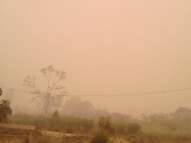 Tolong Doa nya sahabat semua utk Jambi &amp; sekitarnya, kabut asap hr ini semakin parah &amp; sangat BERBAHAYA!!!
#SaveJambi