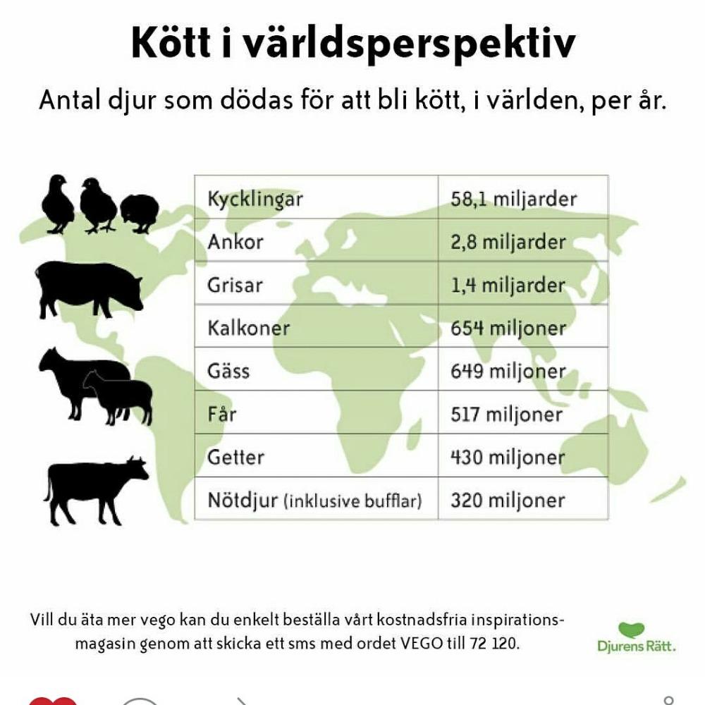 TimoneMurat's tweet photo. Så många liv ......
http://t.co/ia9YlaLn1O http://t.co/V06cQ4wGyJ