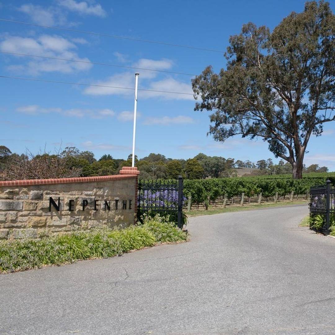 Open all weekend - come on by! #NepentheWines #AdelHills #winetime