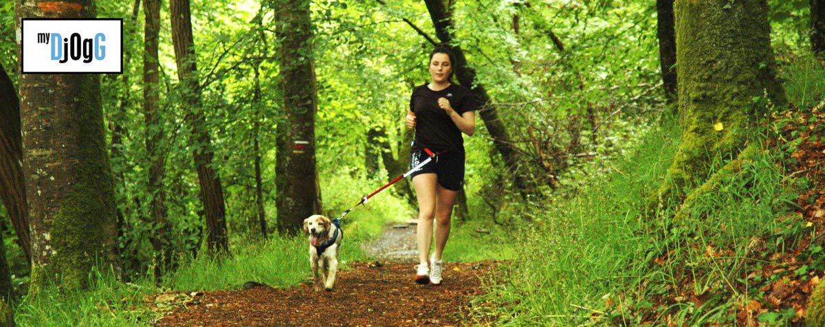 Kengo_BZH's tweet image. Courir avec un chien même quand on en a pas, c'est possible avec @MyDjogg #DjoggFunding kengo.bzh/projet/my-djogg