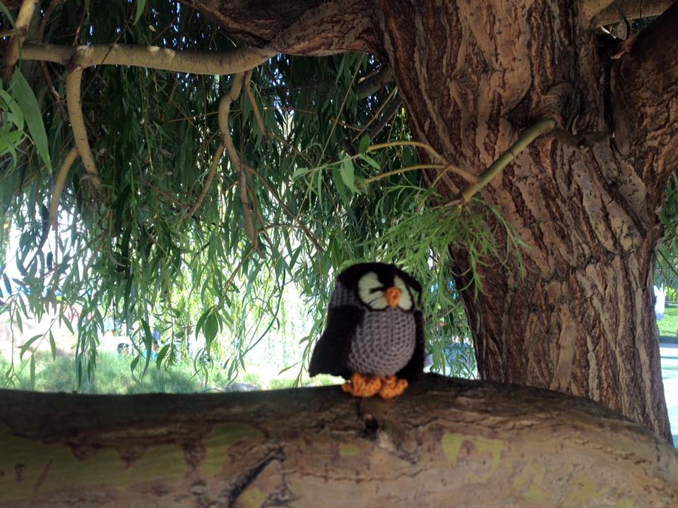 HDIFarmenia's tweet image. Good Morning :) 
#GorisCrochet #handmade #jobsinArmenia #jobsforwomen #jobsintheregions