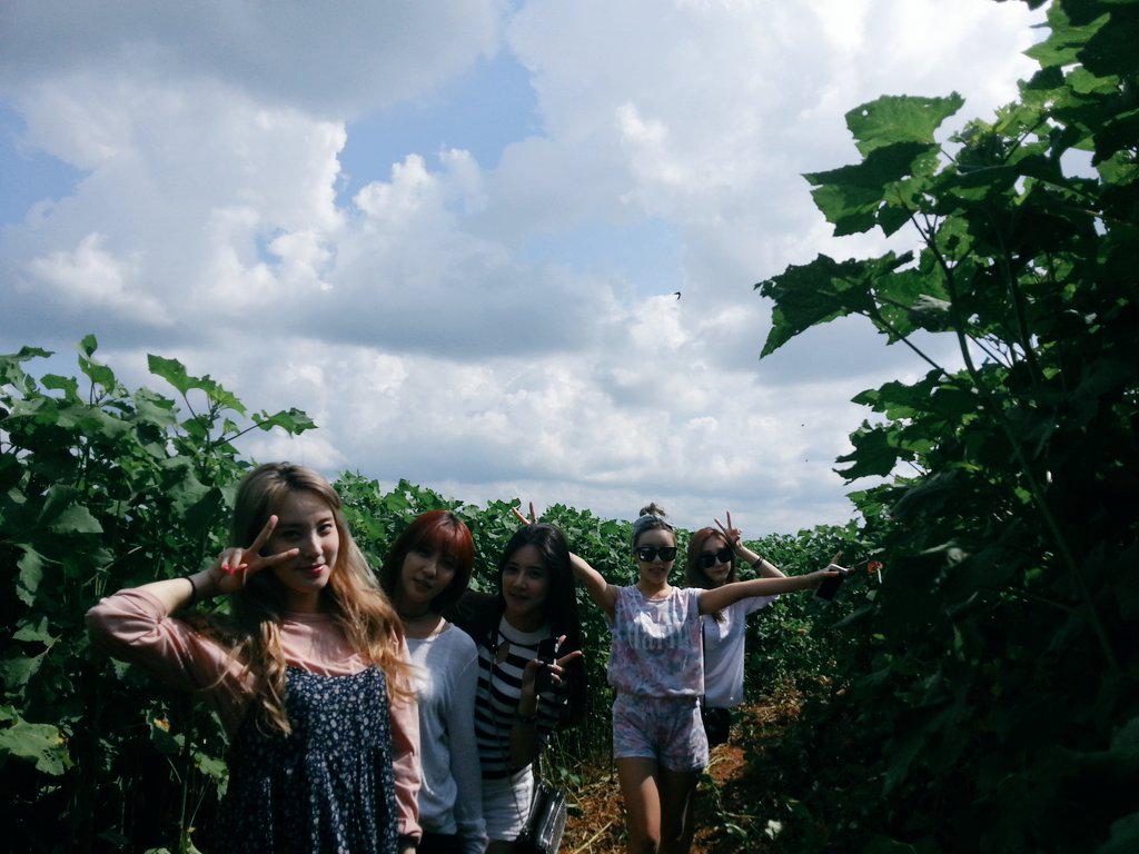 Global_Icon's tweet photo. 9월 29일 SBS Mtv "The Show"  GI(지아이)  LIVE~~

11시 55분 사전녹화이구요 . 팬입장가능합니다~ 
 오셔서 같이 즐거운 명절의 하루를 보내요^^ http://t.co/HljfoDXNLn