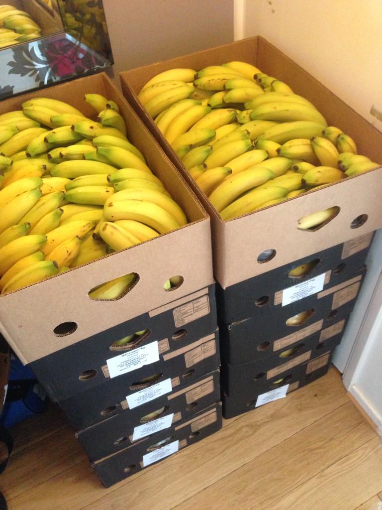 RutlandMarathon's tweet photo. 200kg of bananas ready for Sunday! rutlandmarathon #RM262 #RMHalf #banana #feedstations #fruit #runningfuel http://t.co/E5Nz42bMpq