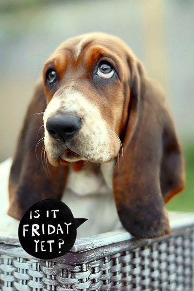 ThinkDelegate's tweet photo. Yes - It's Friday! Have a great weekend everyone! #itsfriday #thinkdelegate #virtualassistant http://t.co/SofqPb7UvM