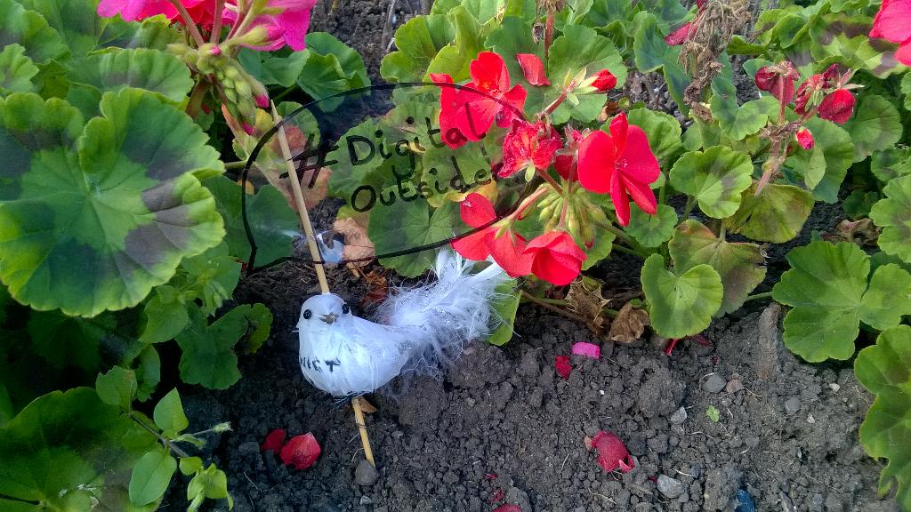 gemmamaypotter's tweet photo. A fun morning of talks @dmlabsuk with some time playing outside #DigitalOutsider http://t.co/dH85zK2z7Q