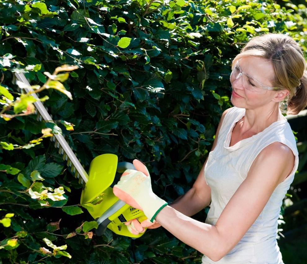 BandQ's tweet photo. Hedges, tremble in fear! This trimmer is near. RT for a chance to win it! T&amp;Cs: http://t.co/hw4kkaQP0H #WinwithBandQ http://t.co/6H6vCDZ12f