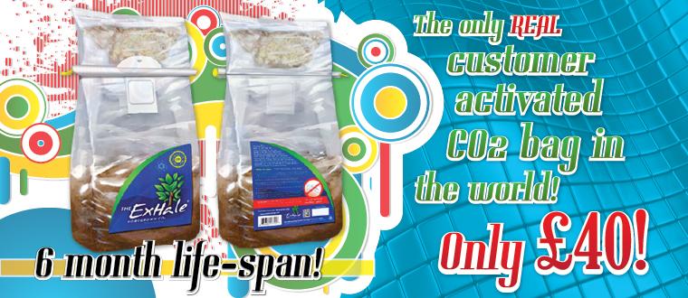 OneStop4Growing's tweet image. Simply place the bag in your grow space and leave it alone to do its job!