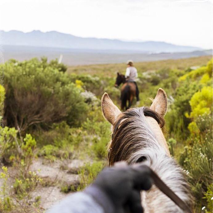 Grootbos's tweet photo. Loving our guest's Instagrams tagged with #Grootbos &amp; #GrootbosMagic on @instagram #MeetSouthAfrica http://t.co/v3jPda4ICY