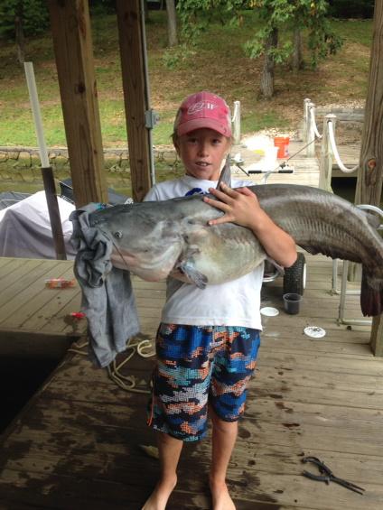 jeff shaw tweet media