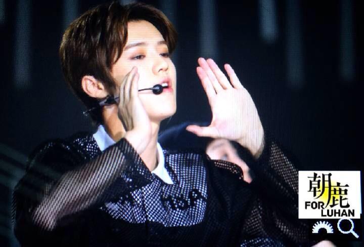 ibaekrauhls's tweet photo. you've come so far &amp; it's so amazing to see you so happy &amp; well ♡ #LuhanFirstMiniCon

just do what makes you happy ;; http://t.co/vtIYJAUgL7
