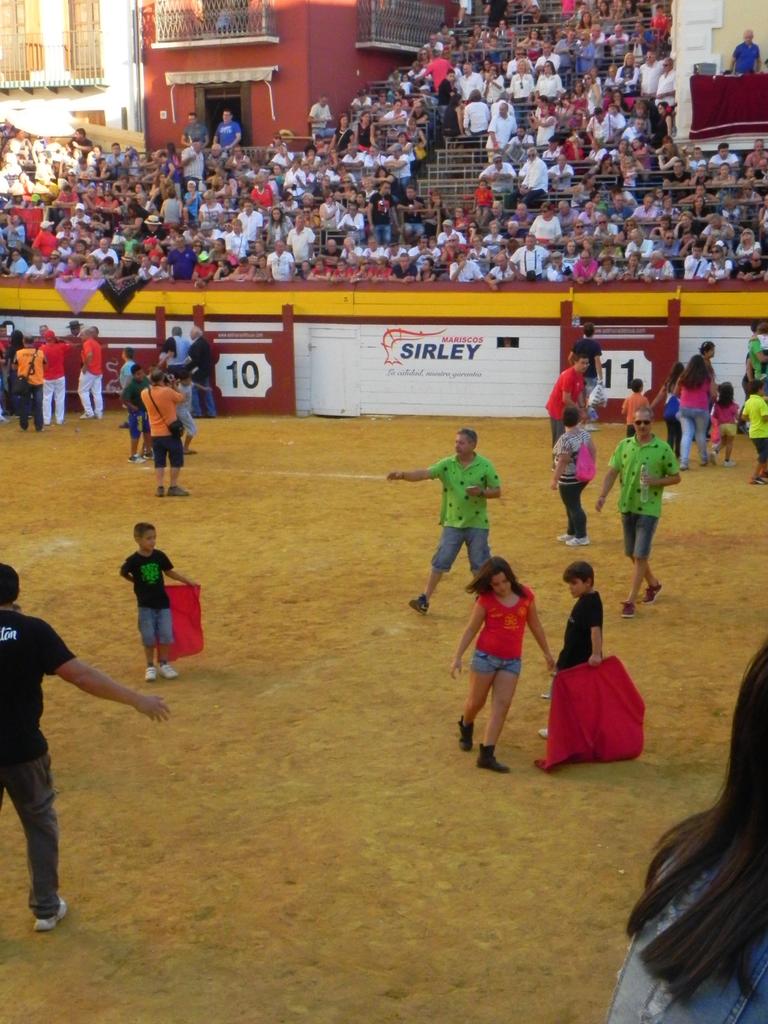 verdeguer's tweet photo. Galeria de fotos d'ahir en #BousAlgemesí http://t.co/RTYhAsbznF @bousalgemesi15 #culturadebou #algemesibous #algemesí http://t.co/pgwwtmQs54