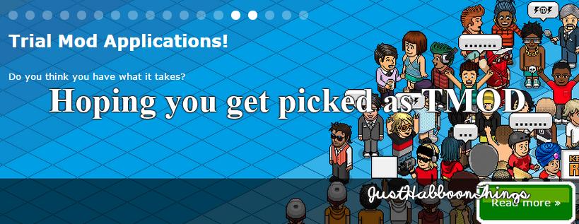 Just Habboon Things tweet media