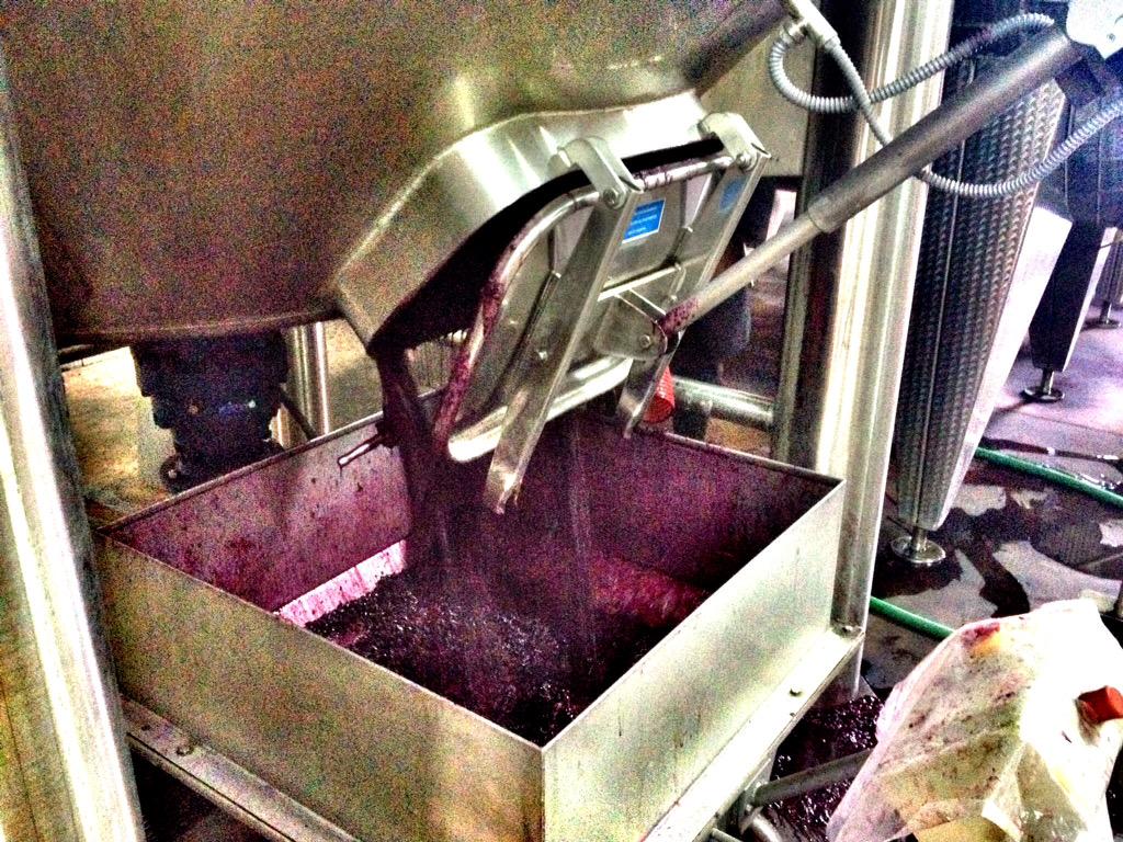 CasaDArrochella's tweet photo. One more fermentation at the end... #harvest2015 #vindima2015 #redwine #winelover #loveswine #douro #grandesquintas http://t.co/FtFdF963WE
