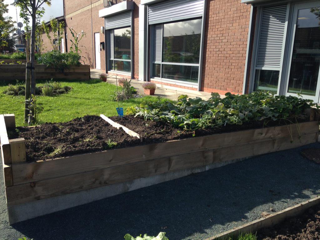 Grow Sow Well tweet media