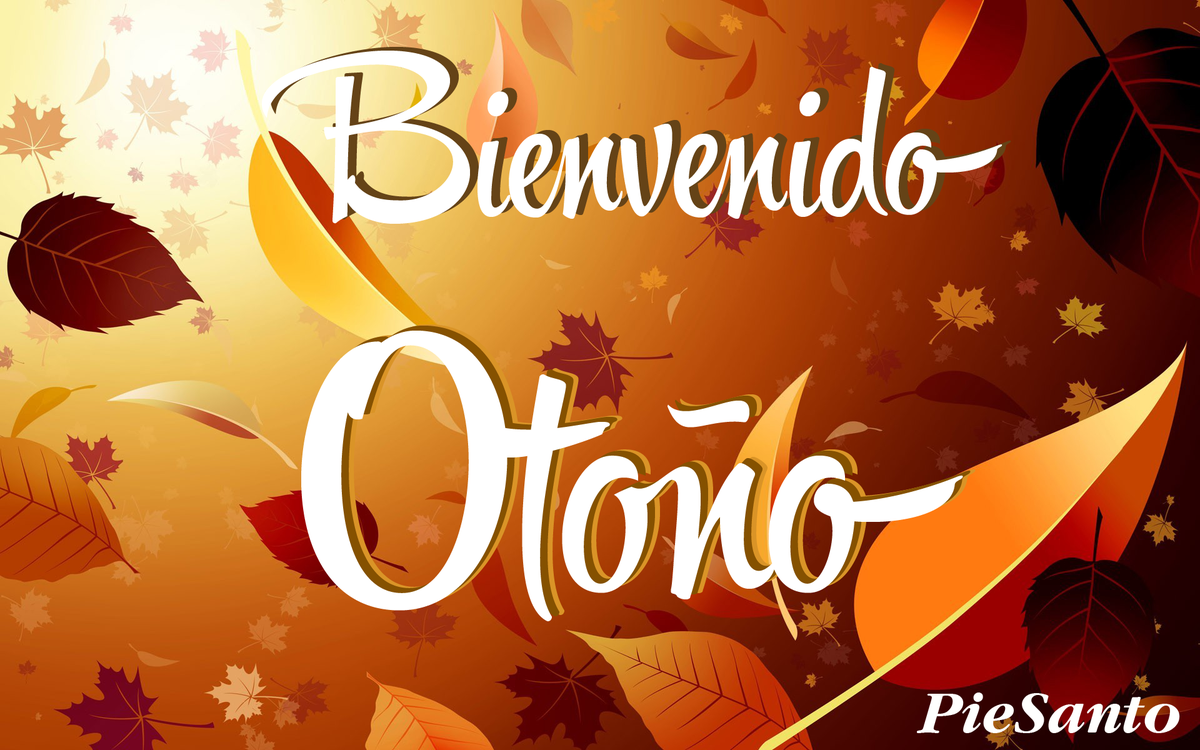 ¡Damos la bienvenida al Otoño con nuestra nueva colección!Disfruta caminando. pinterest.com/piesanto/colec… #otono2015