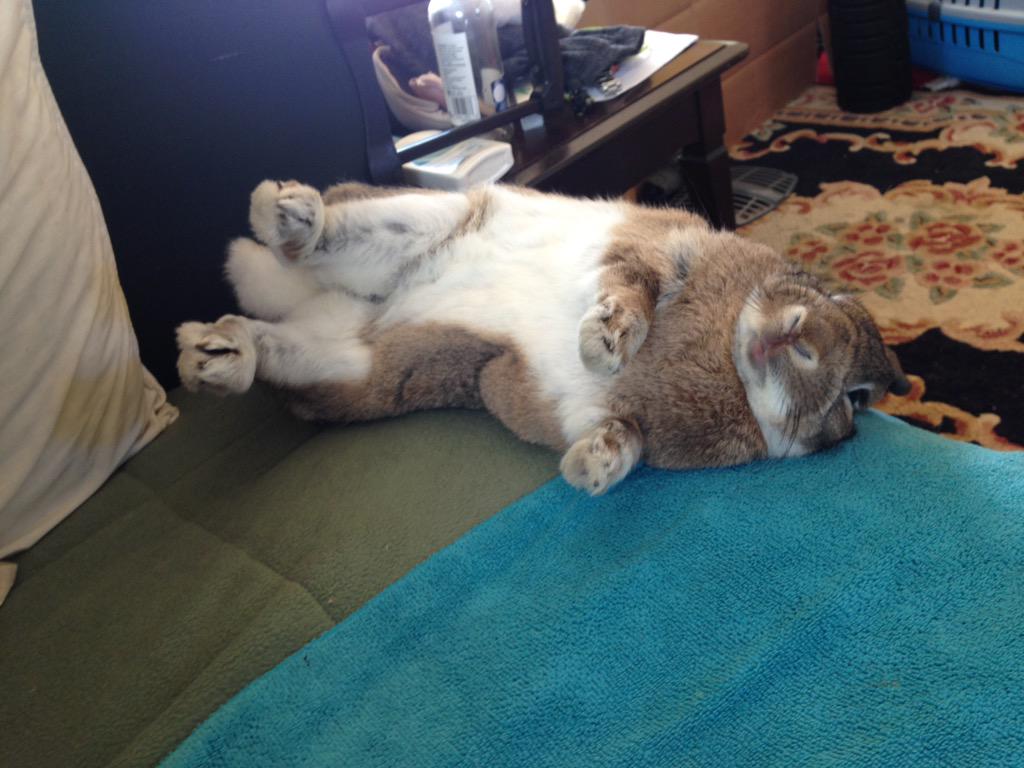 CharlestonBun's tweet photo. If you're not living life on the edge you're taking up too much room http://t.co/g7R4nMMX18