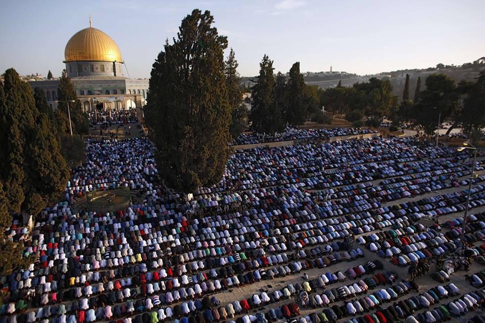 BeautyOfIslaam's tweet photo. Millions gathered to offer Eid Prayer across the world today... Subhanallah! http://t.co/MhZuqz4NwQ
