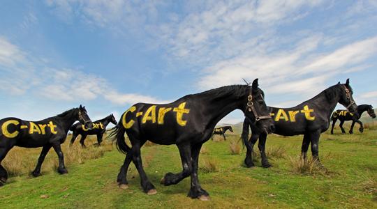 LakesCulture's tweet photo. Final weekend to see #CArt2015… #Cumbria’s extravaganza of visual arts! @GoLakes @eden_artshttp://t.co/awGKXw65A3 http://t.co/Y1K53lYOSi