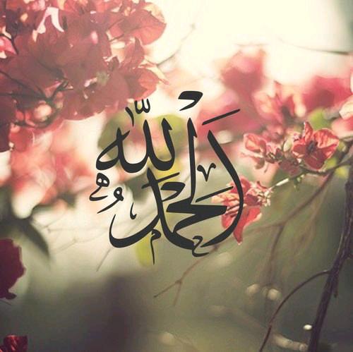 الحمدلله على نعمة البصر وعلى كل نعمة اعتدنا وجودها فنسينا شكرها