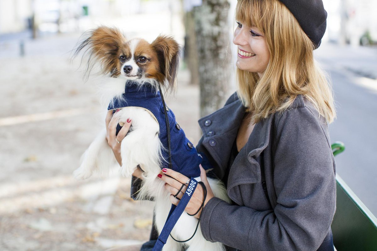 kingpet_es's tweet photo. Nuevo catálogo #CHADOG Otoño Invierno 2015-2016 distribuido por Kingpet. Consúltalo aquí: http://t.co/dAljZP7HAF http://t.co/XS02HnaElJ