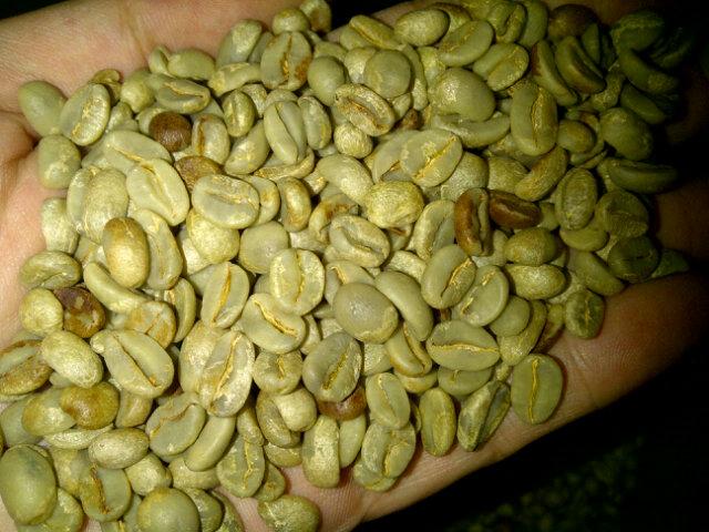 Beautiful Sunda Honey from our direct buying project.