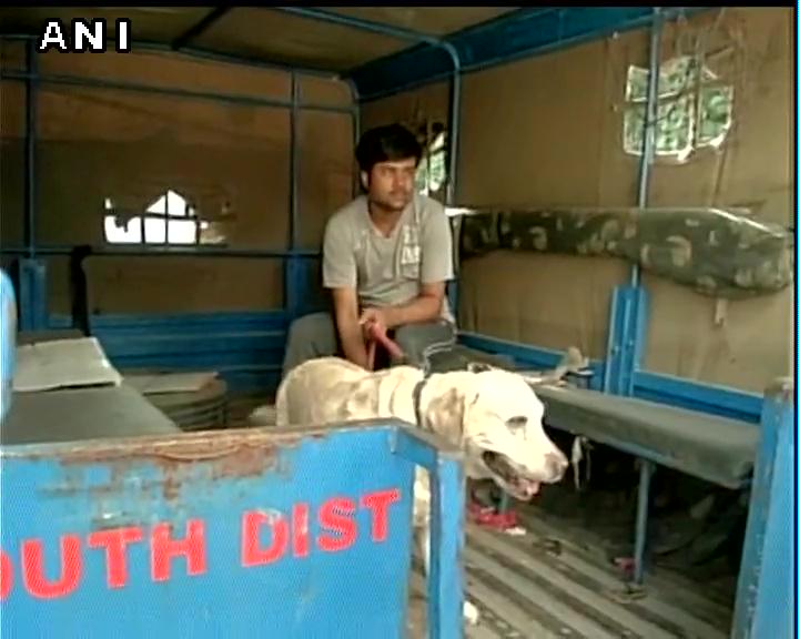 ANI's tweet image. Delhi police team reaches Somnath Bharti's residence to arrest him, picks up his dog 'Don' instead.