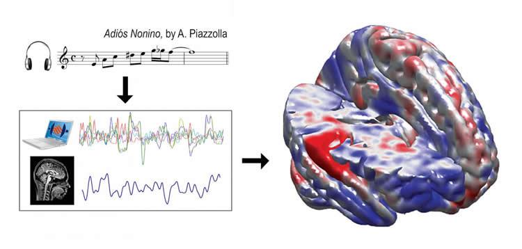 NeuroscienceNew's tweet image. Musical Processing: Consonant Results Resonate in the Brain neurosciencenews.com/neuroscience-m… #neuroscience