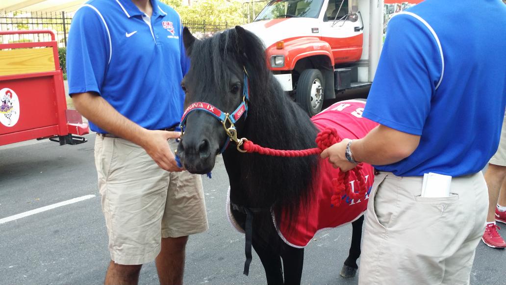 SMU's tweet photo. That's a handsome horse. #CloseupReady @CommunitySMU #PonyUp 4 @StateFairOfTX parade #Dallas @1500Marilla #smu100 http://t.co/FnOcb75qfM