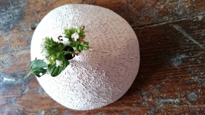 BlackCubeCollective tweet media