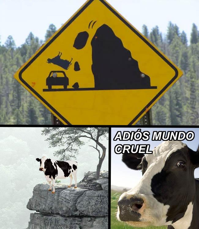 yisucrist's tweet photo. pero k coño? xdddd http://t.co/J3x8WXbzEp
