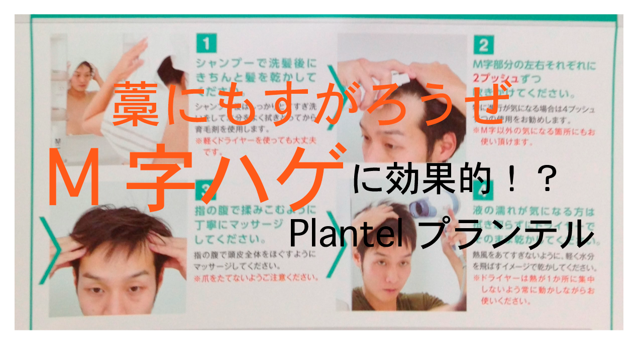 M字ハゲ Twitter Search Twitter