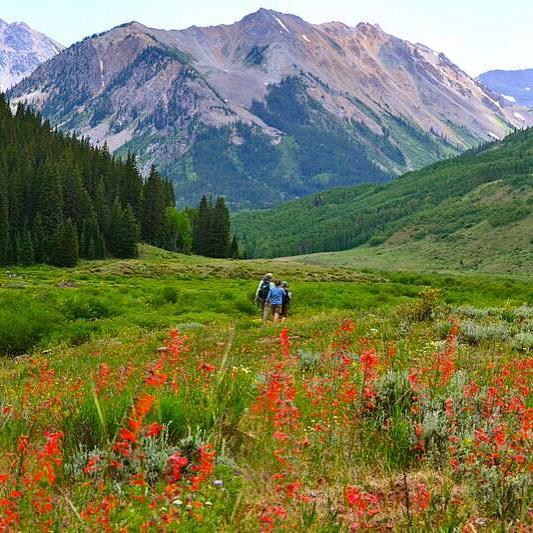 Colorado's tweet photo. It's #PHOTOFRIDAY! Share your favorite pic from this past summer: https://t.co/lG8KWMOQQL #aspen http://t.co/K3ilZ2yJ6k