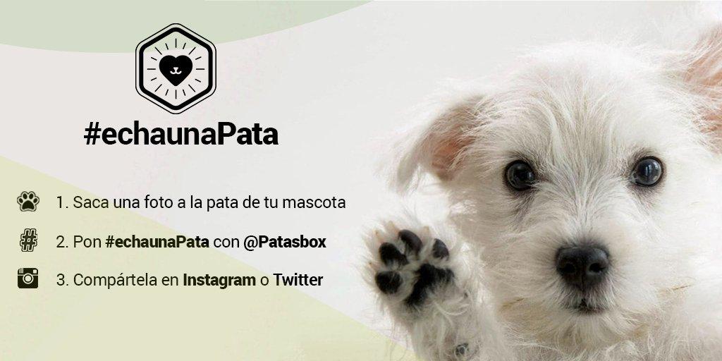 PatasBox's tweet photo. Nos ayudáis a difundirlo? Por cada foto subida con #echaunaPata donaremos 1€ en comida a @asociacion_anaa y ALBA http://t.co/B1O3g9EaSf