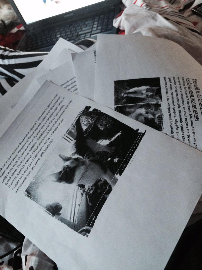 margo4067's tweet image. Пойду развешивать). #помощьбездомнымживотным