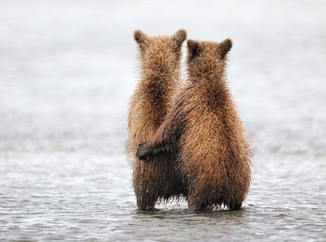 OwnSelph's tweet image. Whoopi Goldberg: If you're not into gay marriage don't marry a gay person. YAAAAS!