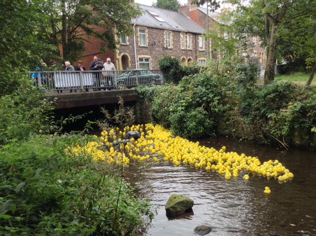 Huge thanks to everyone who purchased ducks for our annual duck race at the weekend.  A grand total of £1316 raised!