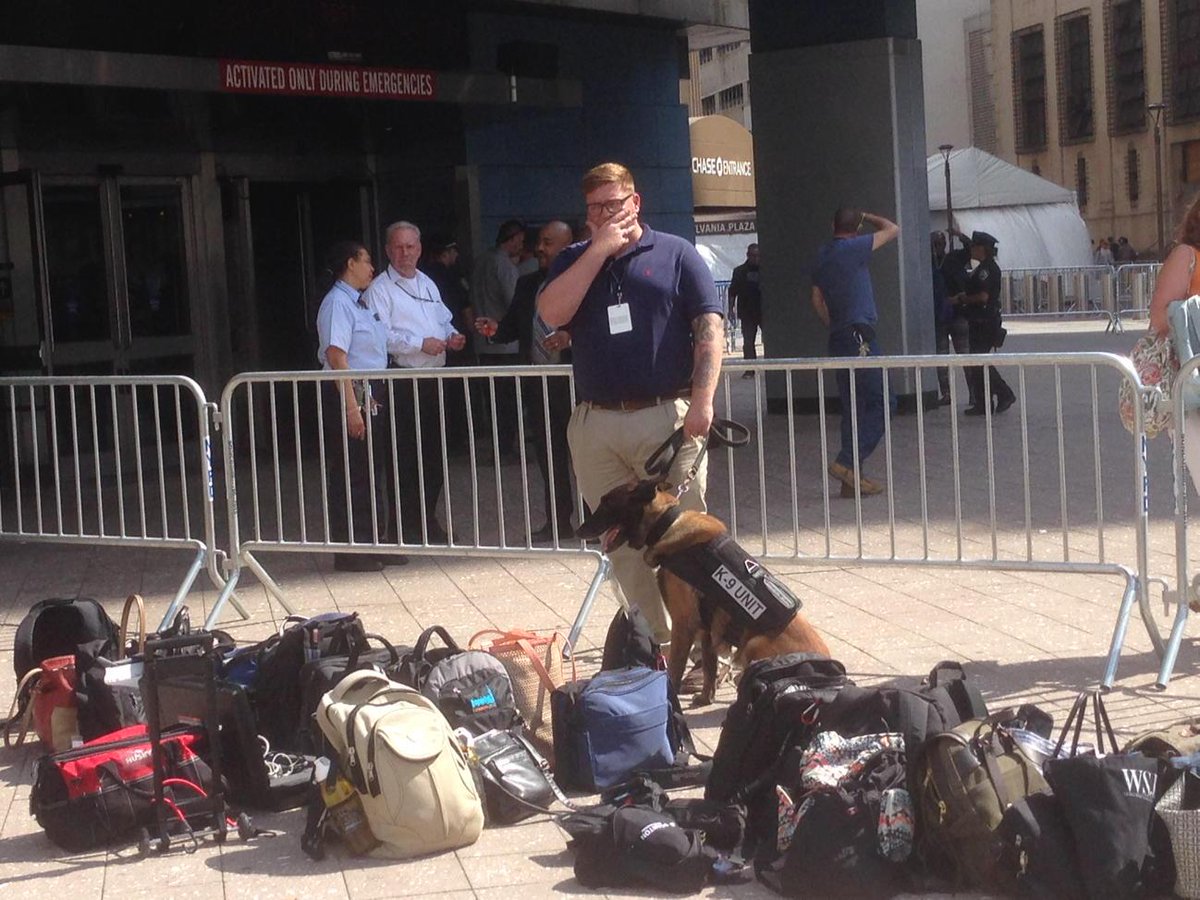 verahaller's tweet photo. K-9 security check of news photographers' bags outside MSG for Pope Francis mass. http://t.co/W5hrpHJKuL