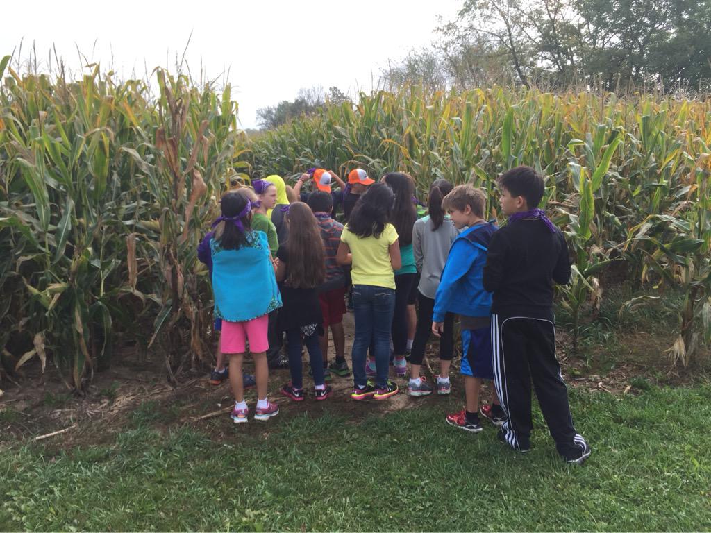Found our way out at Corn Maze #brose220 #barrington220