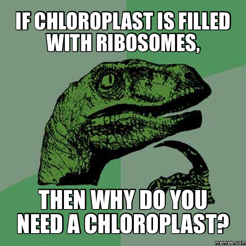 RiboRibosomes's tweet photo. @DTSMACells @your_nucleus @chloroplastvote http://t.co/rM74bIJnGW