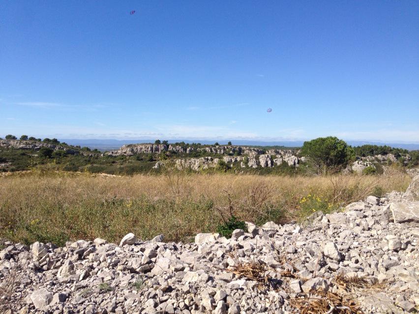 MatthewStubbsMW's tweet photo. Gorgeous weather in La Clape today. Hot for those harvesting but at least the Tramontane is blowing ! http://t.co/ZBvgY91Om2