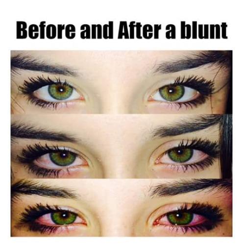 FemaleStoners's tweet photo. truu http://t.co/KCPLEFGPfa