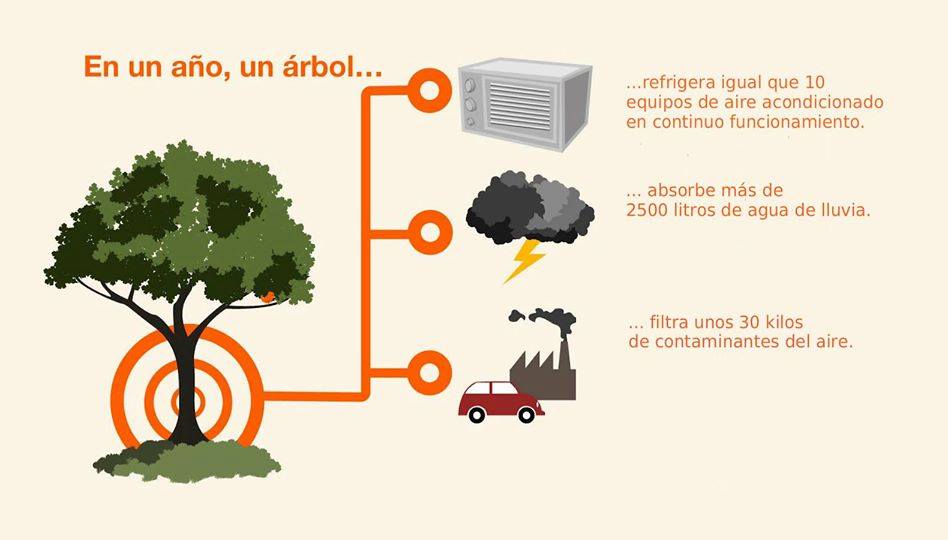 TvAgro's tweet image. Cambia tu actitud ayudemos al #Planeta