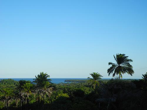 Rústica-chic eco-pousada em Boipeba com vistas deslumbrantes: <a href="/pousadacasabobo/">Eco-Pousada Casabobô</a>  ow.ly/Z8wQv