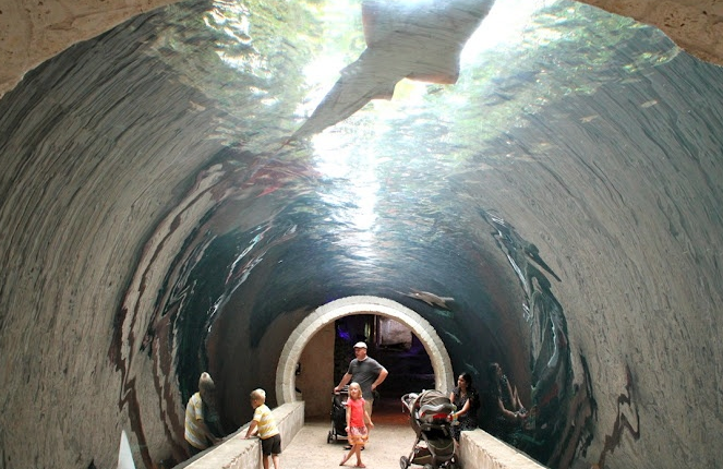 Don’t know what to do this weekend? Check out the Dallas Aquarium. #DallasLiving