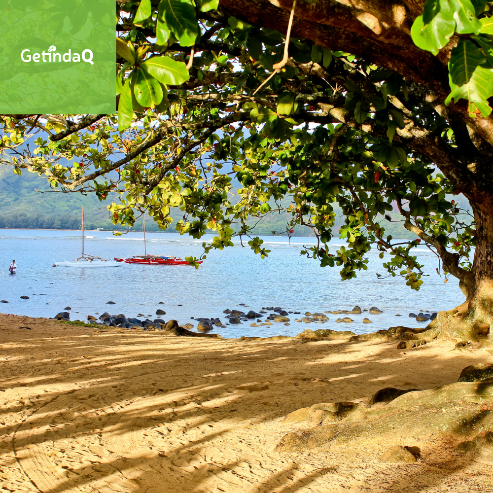 GetInDaQ's tweet image. Good morning, #Hawaii ! #Aloha kakahiaka!