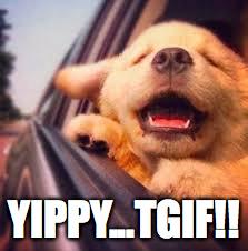 SaraMD15's tweet image. @TBursoni look at this  #morehomework